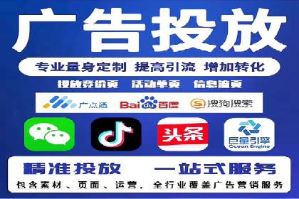 某行业领军企业的SEM广告投放策略
